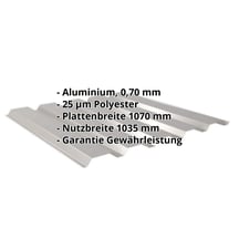 Trapezblech 35/207 | Wand | Aluminium 0,70 mm | 25 µm Polyester | 9007 - Graualuminium #2