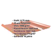 Trapezblech 45/333 | Dach | Anti-Tropf 1000 g/m² | Stahl 0,75 mm | 25 µm Polyester | 8004 - Kupferbraun #2