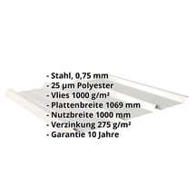 Trapezblech 45/333 | Dach | Anti-Tropf 1000 g/m² | Stahl 0,75 mm | 25 µm Polyester | 9006 - Weißaluminium #2