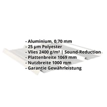 Trapezblech 45/333 | Dach | Anti-Tropf 2400 g/m² | Aluminium 0,70 mm | 25 µm Polyester | 9006 - Weißaluminium #2