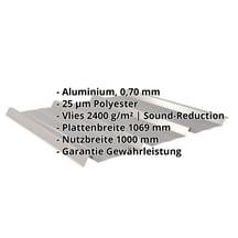 Trapezblech 45/333 | Dach | Anti-Tropf 2400 g/m² | Aluminium 0,70 mm | 25 µm Polyester | 9007 - Graualuminium #2