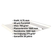 Trapezblech 45/333 | Dach | Anti-Tropf 700 g/m² | Stahl 0,75 mm | 60 µm Puramid | 9002 - Grauweiß #2