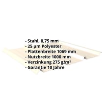 Trapezblech 45/333 | Dach | Stahl 0,75 mm | 25 µm Polyester | 1015 - Hellelfenbein #2