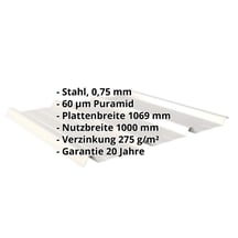 Trapezblech 45/333 | Dach | Stahl 0,75 mm | 60 µm Puramid | 9002 - Grauweiß #2