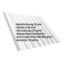 Trapezblech T18DR | Dach | Anti-Tropf 700 g/m² | Stahl 0,50 mm | 25 µm Polyester | 7035 - Lichtgrau #2