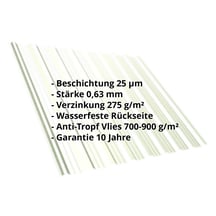 Trapezblech T18DR | Dach | Anti-Tropf 700 g/m² | Stahl 0,63 mm | 25 µm Polyester | 9002 - Grauweiß #2