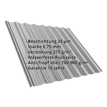 Trapezblech T18DR | Dach | Anti-Tropf 700 g/m² | Stahl 0,75 mm | 25 µm Polyester | 9007 - Graualuminium #2