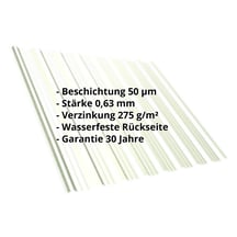 Trapezblech T18DR | Dach | Stahl 0,63 mm | 50 µm PURLAK® | 9002 - Grauweiß #2