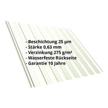 Trapezblech T18DR | Dach | Stahl 0,63 mm | 25 µm Polyester | 9002 - Grauweiß #2