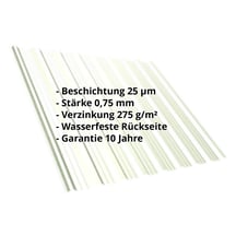 Trapezblech T18DR | Dach | Stahl 0,75 mm | 25 µm Polyester | 9002 - Grauweiß #2