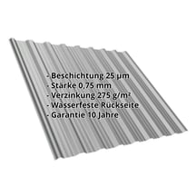 Trapezblech T18DR | Dach | Stahl 0,75 mm | 25 µm Polyester | 9007 - Graualuminium #2