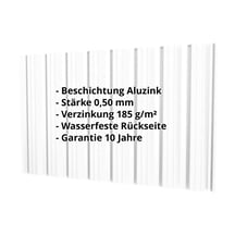 Trapezblech T18DR | Wand | Stahl 0,50 mm | Aluzink | Blank Aluminium #2