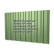 Trapezblech T18DR | Wand | Stahl 0,75 mm | 25 µm Polyester | 6011 - Resedagrün #2