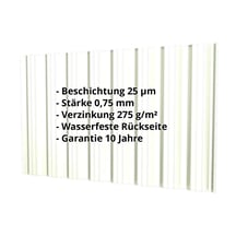 Trapezblech T18DR | Wand | Stahl 0,75 mm | 25 µm Polyester | 9002 - Grauweiß #2