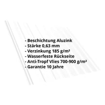 Trapezblech T20M | Dach | Anti-Tropf 700 g/m² | Stahl 0,63 mm | Aluzink | Blank Aluminium #2