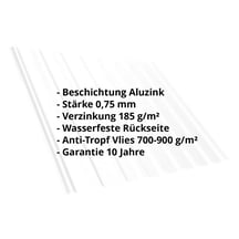 Trapezblech T20M | Dach | Anti-Tropf 700 g/m² | Stahl 0,75 mm | Aluzink | Blank Aluminium #2