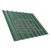Trapezblech T20M | Dach | Anti-Tropf 700 g/m² | Stahl 0,50 mm | 25 µm Polyester | 6005 - Moosgrün #2