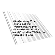 Trapezblech T20M | Dach | Anti-Tropf 700 g/m² | Stahl 0,50 mm | 25 µm Polyester | 7035 - Lichtgrau #2