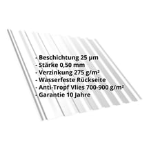 Trapezblech T20M | Dach | Anti-Tropf 700 g/m² | Stahl 0,50 mm | 25 µm Polyester | 7035 - Lichtgrau #2