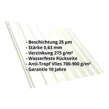 Trapezblech T20M | Dach | Anti-Tropf 700 g/m² | Stahl 0,63 mm | 25 µm Polyester | 9002 - Grauweiß #2