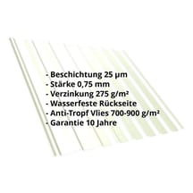 Trapezblech T20M | Dach | Anti-Tropf 700 g/m² | Stahl 0,75 mm | 25 µm Polyester | 9002 - Grauweiß #2
