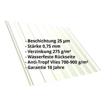 Trapezblech T20M | Dach | Anti-Tropf 700 g/m² | Stahl 0,75 mm | 25 µm Polyester | 9002 - Grauweiß #2