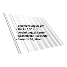 Trapezblech T20M | Dach | Stahl 0,50 mm | 25 µm Polyester | 7035 - Lichtgrau #2