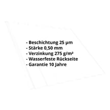 Trapezblech T20M | Dach | Stahl 0,50 mm | 25 µm Polyester | 9010 - Reinweiß #2