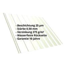 Trapezblech T20M | Dach | Stahl 0,50 mm | 25 µm Polyester | 9002 - Grauweiß #2