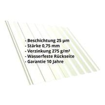 Trapezblech T20M | Dach | Stahl 0,75 mm | 25 µm Polyester | 9002 - Grauweiß #2