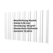 Trapezblech T20M | Wand | Stahl 0,50 mm | Aluzink | Blank Aluminium #2
