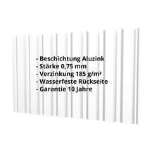 Trapezblech T20M | Wand | Stahl 0,75 mm | Aluzink | Blank Aluminium #2