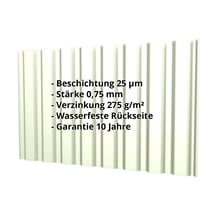 Trapezblech T20M | Wand | Stahl 0,75 mm | 25 µm Polyester | 9002 - Grauweiß #2