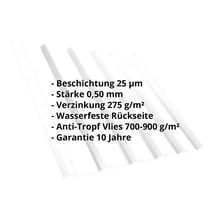 Trapezblech T35/207M | Dach | Anti-Tropf 700 g/m² | Stahl 0,50 mm | 25 µm Polyester | 9010 - Reinweiß #2