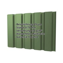 Trapezblech T35/207M | Wand Stahl 0,75 mm | 25 µm Polyester | 6011 - Resedagrün Trapezblech T35/207M | Wand | Stahl 0,75 mm | 25 µm Polyester | 6011 - Resedagrün #2