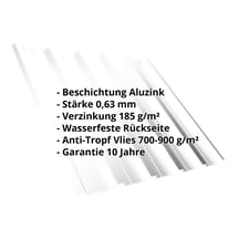 Trapezblech T35DR | Dach | Anti-Tropf 700 g/m² | Stahl 0,63 mm | Aluzink | Blank Aluminium #2