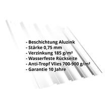 Trapezblech T35DR | Dach | Anti-Tropf 700 g/m² | Stahl 0,75 mm | Aluzink | Blank Aluminium #2