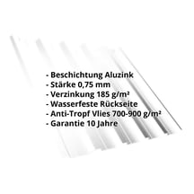 Trapezblech T35DR | Dach | Anti-Tropf 700 g/m² | Stahl 0,75 mm | Aluzink | Silbergrau #2