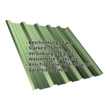 Trapezblech T35DR | Dach | Anti-Tropf 700 g/m² | Stahl 0,75 mm | 25 µm Polyester | 6011 - Resedagrün #2
