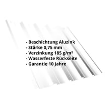 Trapezblech T35DR | Dach | Stahl 0,75 mm | Aluzink | Silbergrau #2