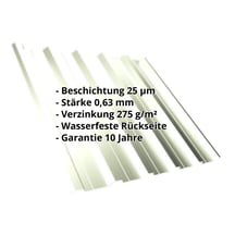 Trapezblech T35DR | Dach | Stahl 0,63 mm | 25 µm Polyester | 9002 - Grauweiß #2