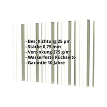 Trapezblech T35DR | Wand | Stahl 0,75 mm | 25 µm Polyester | 9002 - Grauweiß #2
