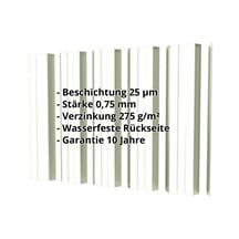 Trapezblech T35DR | Wand | Stahl 0,75 mm | 25 µm Polyester | 9002 - Grauweiß #2