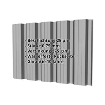 Trapezblech T35DR | Wand | Stahl 0,75 mm | 25 µm Polyester | 9007 - Graualuminium #2
