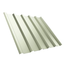Trapezblech T35M | Dach | Anti-Tropf 700 g/m² | Stahl 0,75 mm | 25 µm Polyester | 9002 - Grauweiß #1