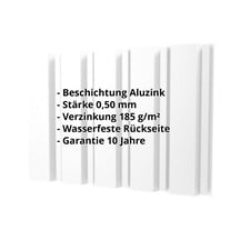 Trapezblech T35M | Wand | Stahl 0,50 mm | Aluzink | Blank Aluminium #2