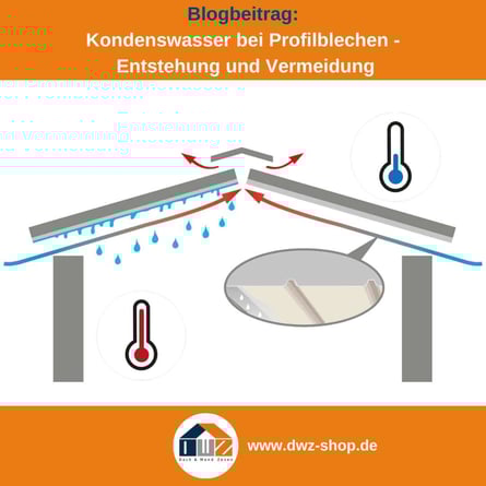 Titelgrafik eines Blogbeitrags mit dem Thema 'Kondenswasser bei Blechen' – gezeigt wird eine Grafik zur Veranschaulichung, dazu das Logo und die Webadresse von DWZ-Shop.de.