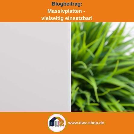 Titelgrafik eines Blogbeitrags mit dem Thema 'Funktionalität von Massivplatten' – gezeigt wird eine opale Massivplatte, dazu das Logo und die Webadresse von DWZ-Shop.de.