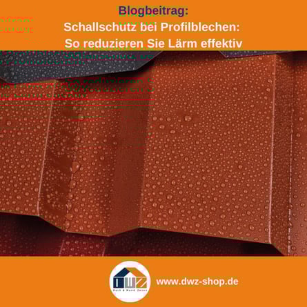 Titelgrafik eines Blogbeitrags mit dem Thema ‚Schallschutz bei Profilblechen‘ – gezeigt wird eine Auswahl an verschiedenen Trapezblechen, dazu das Logo und die Webadresse von DWZ-Shop.de.