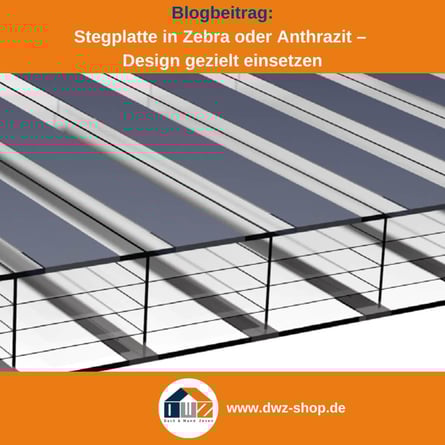 Titelgrafik eines Blogbeitrags mit dem Thema ‚Stegplatten in Zebra und anthrazit‘ – gezeigt wird ein Querschnitt einer Zebra-Stegplatte, dazu das Logo und die Webadresse von DWZ-Shop.de.